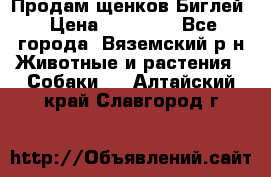 Продам щенков Биглей › Цена ­ 15 000 - Все города, Вяземский р-н Животные и растения » Собаки   . Алтайский край,Славгород г.